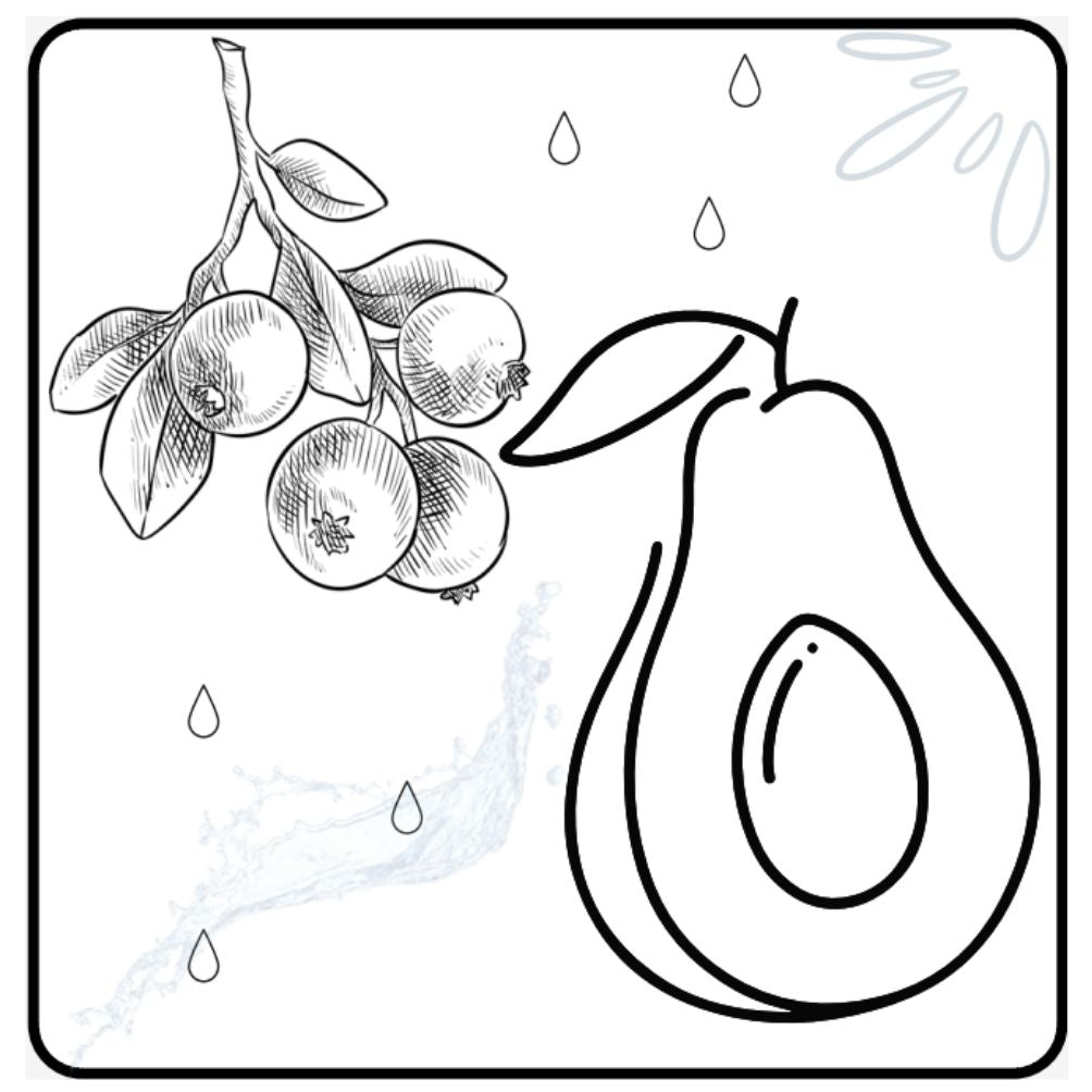 Fruit Coloring Book giggles colors
