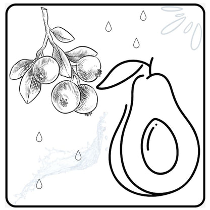 Fruit Coloring Book giggles colors